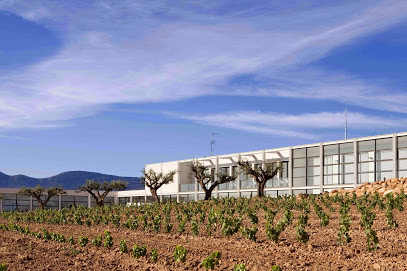 Finca de los Arandinos Bodega | Hotel