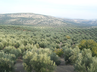 Vía verde del Aceite