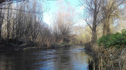 Area Recreativa Dehesa Del Sotillo