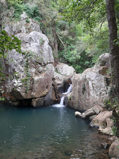 Parque Natural Los Alcornocales