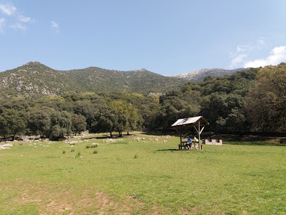 Llanos Del Campo