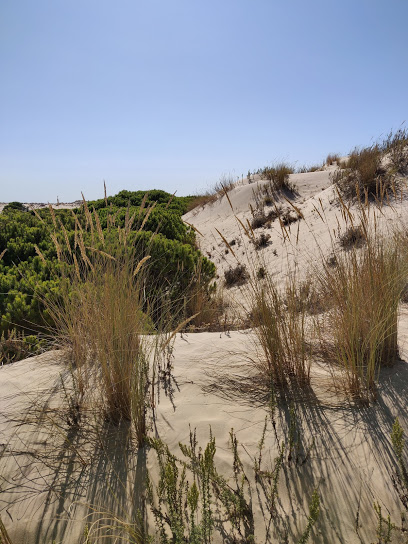 Parque Nacional de Doñana