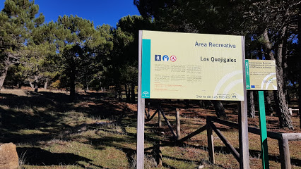 Area Recreativa Quejigales