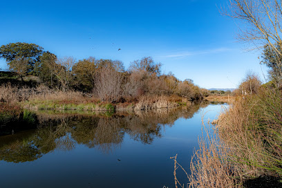 Paseo por la orilla del Manzanares
