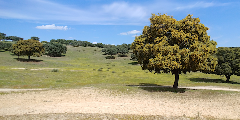 Área Recreativa de El Pardo