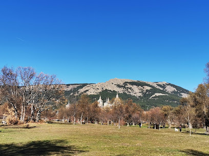 Bosque de La Herrería